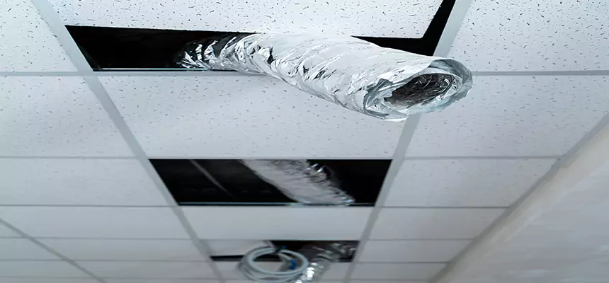 Affordable HVAC Sanitizing After Pest Removal in Manteca