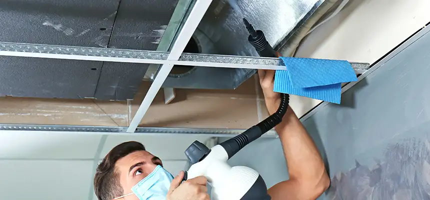 Our Air Duct Rodent Removal Services in Manteca, CA