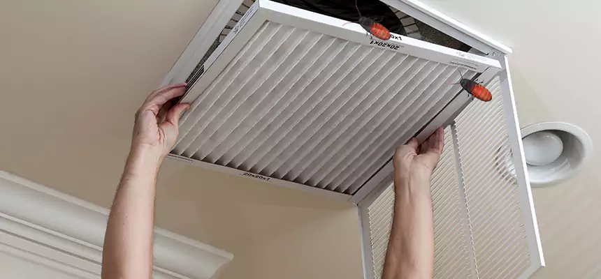 Our Insect Removal from Air Ducts Services in Manteca, CA