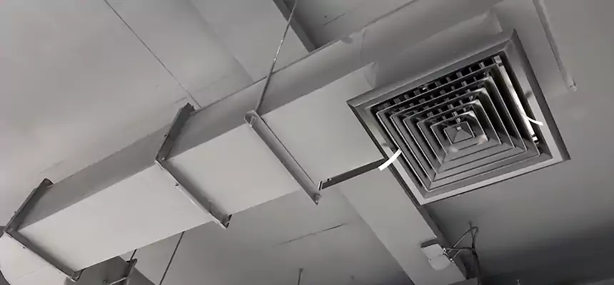 Our Pest Removal From Ducts Services in Manteca, CA