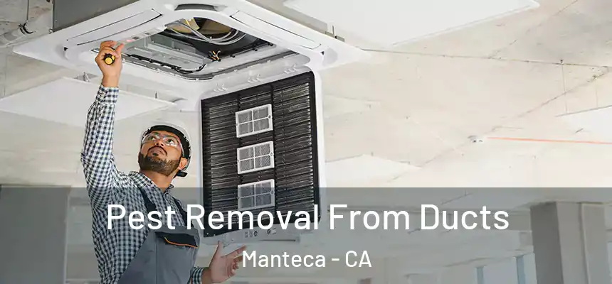 Pest Removal From Ducts Manteca - CA