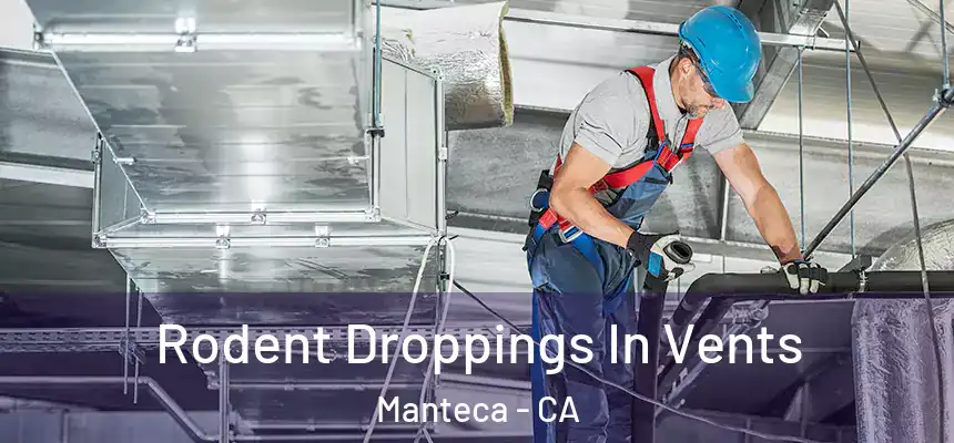  Rodent Droppings In Vents Manteca - CA