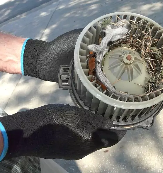 About Air Duct Rat Removal in Manteca, CA