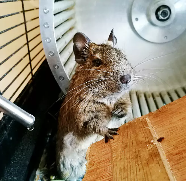 Why Homeowners & Businesses Trust Us Manteca, CA?