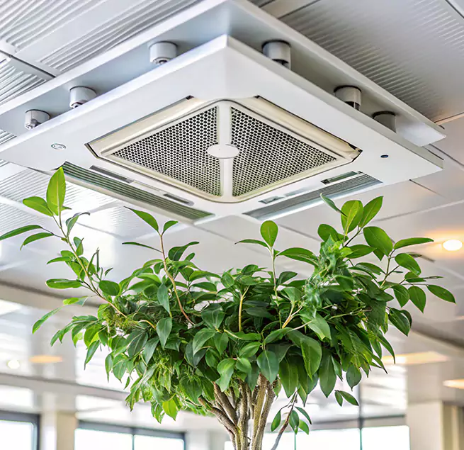 Why Homeowners & Businesses Trust Us in Manteca, CA?